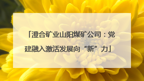 澄合矿业山阳煤矿公司：党建融入激活发展向“新”力