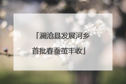 澜沧县发展河乡首批春蚕茧丰收