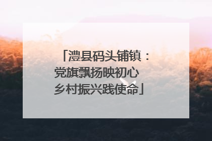 澧县码头铺镇：党旗飘扬映初心 乡村振兴践使命
