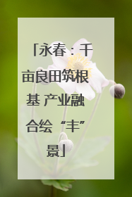 永春：千亩良田筑根基 产业融合绘“丰”景