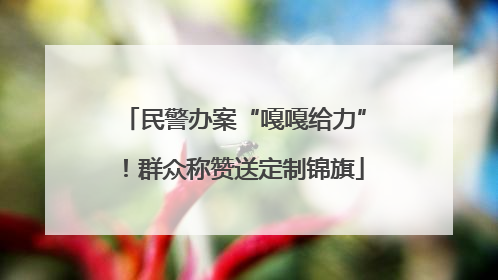 民警办案“嘎嘎给力”！群众称赞送定制锦旗