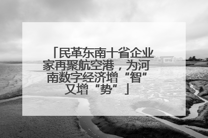 民革东南十省企业家再聚航空港，为河南数字经济增“智”又增“势”