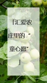 汇爱农庄里的“童心愿”