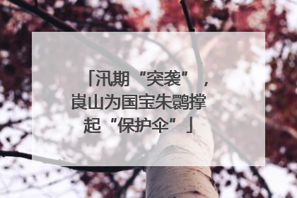 汛期“突袭”，崀山为国宝朱鹮撑起“保护伞”