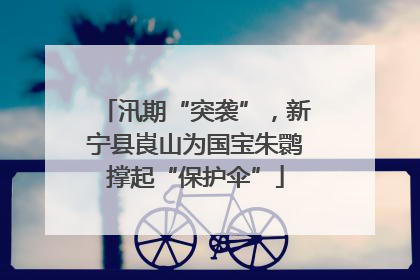 汛期“突袭”，新宁县崀山为国宝朱鹮撑起“保护伞”