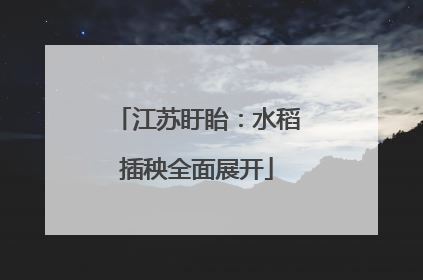江苏盱眙：水稻插秧全面展开