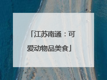 江苏南通：可爱动物品美食