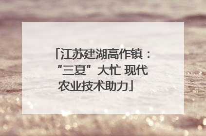 江苏建湖高作镇：“三夏”大忙 现代农业技术助力