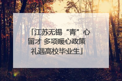 江苏无锡“青”心留才 多项暖心政策礼遇高校毕业生