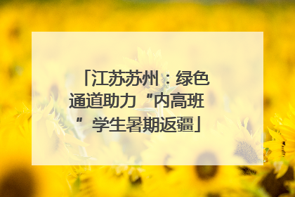 江苏苏州：绿色通道助力“内高班”学生暑期返疆