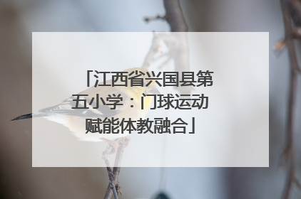 江西省兴国县第五小学：门球运动赋能体教融合