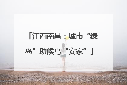 江西南昌：城市“绿岛”助候鸟“安家”