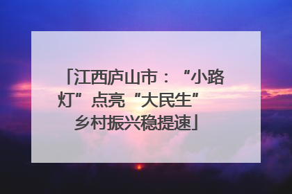 江西庐山市：“小路灯”点亮“大民生” 乡村振兴稳提速