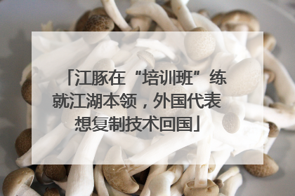 江豚在“培训班”练就江湖本领，外国代表想复制技术回国