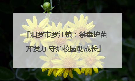 汨罗市罗江镇：禁毒护苗齐发力 守护校园助成长
