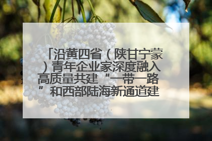 沿黄四省（陕甘宁蒙）青年企业家深度融入高质量共建“一带一路”和西部陆海新通道建设战略合作交流会在甘肃兰州召开