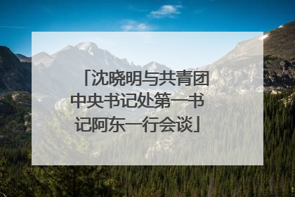 沈晓明与共青团中央书记处第一书记阿东一行会谈