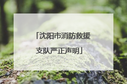 沈阳市消防救援支队严正声明