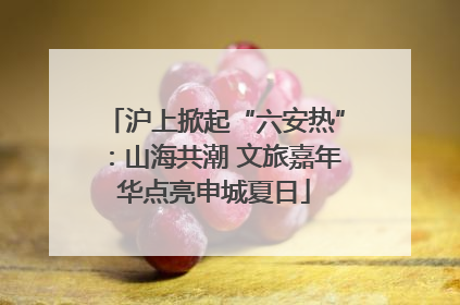 沪上掀起“六安热”：山海共潮 文旅嘉年华点亮申城夏日