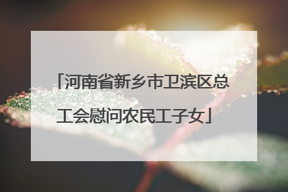河南省新乡市卫滨区总工会慰问农民工子女