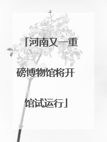 河南又一重磅博物馆将开馆试运行