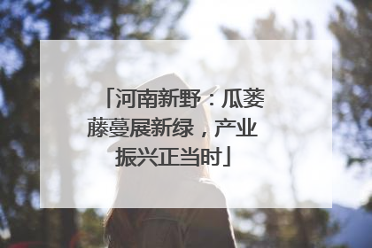 河南新野：瓜蒌藤蔓展新绿，产业振兴正当时