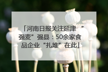 河南日报关注延津 “强麦”强县：50余家食品企业“扎堆”在此