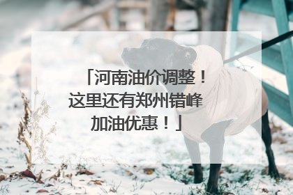 河南油价调整！这里还有郑州错峰加油优惠！