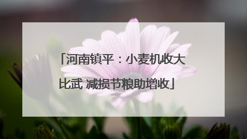 河南镇平：小麦机收大比武 减损节粮助增收