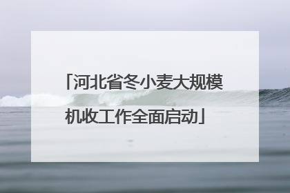 河北省冬小麦大规模机收工作全面启动
