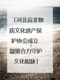 河北省非物质文化遗产保护协会成立 凝聚合力守护文化根脉