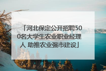 河北保定公开招聘500名大学生农业职业经理人 助推农业强市建设