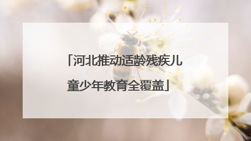 河北推动适龄残疾儿童少年教育全覆盖