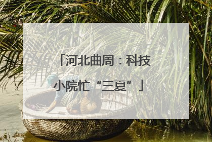 河北曲周：科技小院忙“三夏”