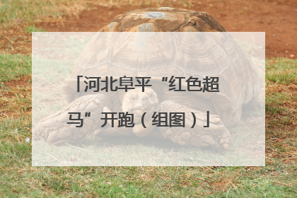 河北阜平“红色超马”开跑（组图）