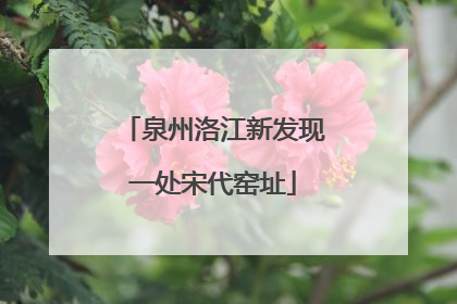 泉州洛江新发现一处宋代窑址