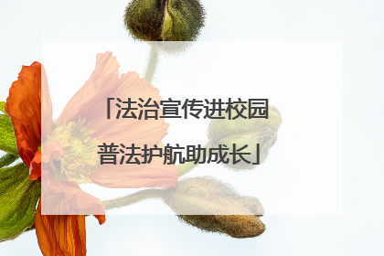 法治宣传进校园 普法护航助成长