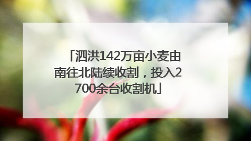 泗洪142万亩小麦由南往北陆续收割，投入2700余台收割机