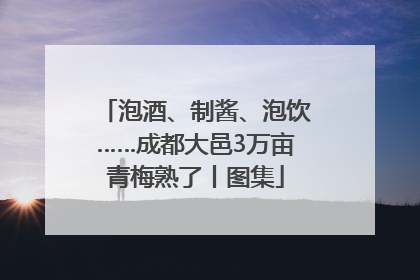 泡酒、制酱、泡饮……成都大邑3万亩青梅熟了丨图集