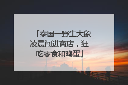 泰国一野生大象凌晨闯进商店，狂吃零食和鸡蛋