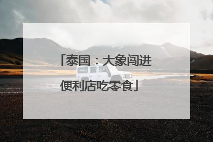 泰国：大象闯进便利店吃零食