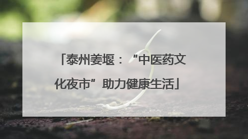 泰州姜堰：“中医药文化夜市”助力健康生活