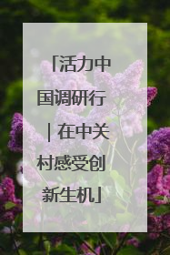 活力中国调研行｜在中关村感受创新生机
