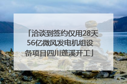 洽谈到签约仅用28天 56亿微风发电机组设备项目四川蓬溪开工