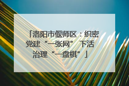 洛阳市偃师区：织密党建“一张网” 下活治理“一盘棋”