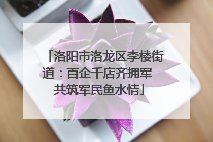 洛阳市洛龙区李楼街道：百企千店齐拥军 共筑军民鱼水情