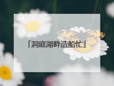 洞庭湖畔造船忙