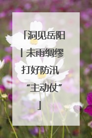 洞见岳阳丨未雨绸缪 打好防汛“主动仗”