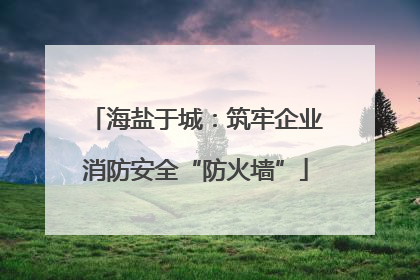 海盐于城：筑牢企业消防安全“防火墙”