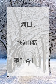 海口：“琼山福稻”香